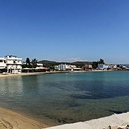 Country house λευκό γιασεμί *