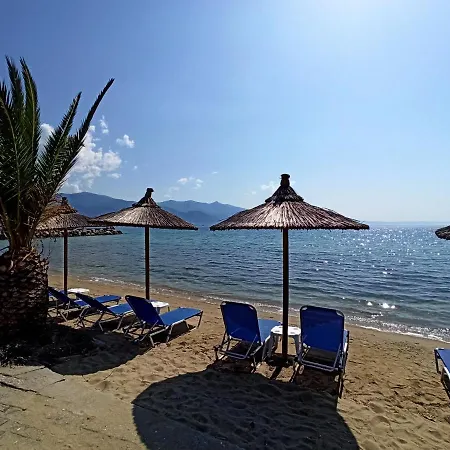 λευκό γιασεμί Kritharia (Thessalia)