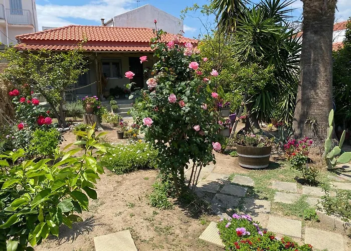 λευκό γιασεμί