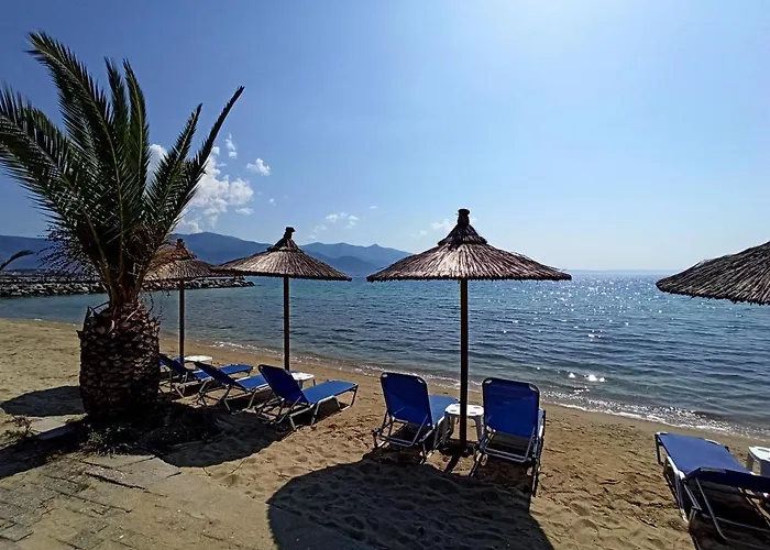 λευκό γιασεμί Kritharia (Thessalia)